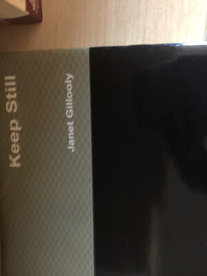 cover image of Keep Still